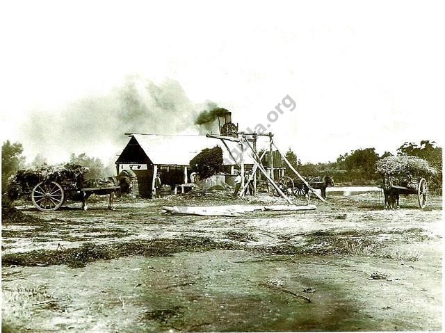 Arnold Eucalyptus Distillery 1920