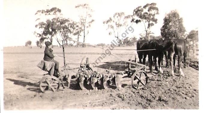 Ian Alexander Ploughing at Laanecoorie