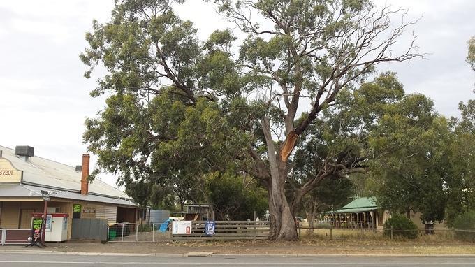 Newbridge General Store