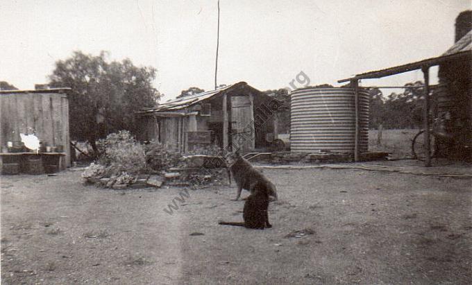 Rear of Williams House at Waanyarra