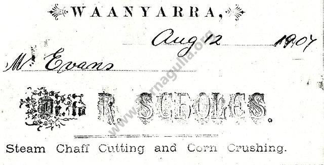 Scholes Waanyarra 1907