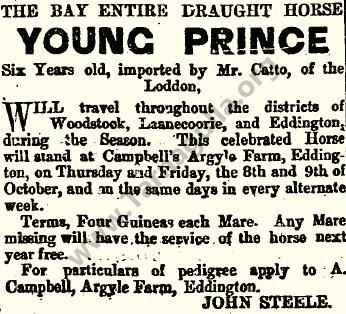 Mr Catto's Stallion October 1863