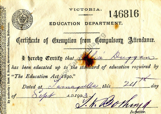 Certificate of Education for Alice Duggan, 1903