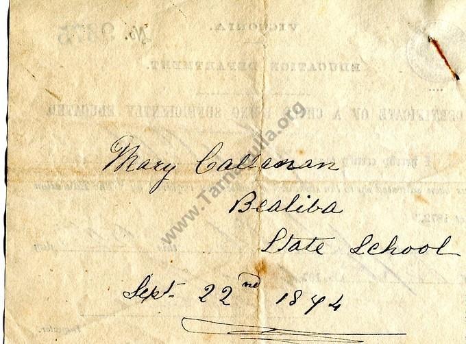 Certificate of Education for Mary Callanan, 1874