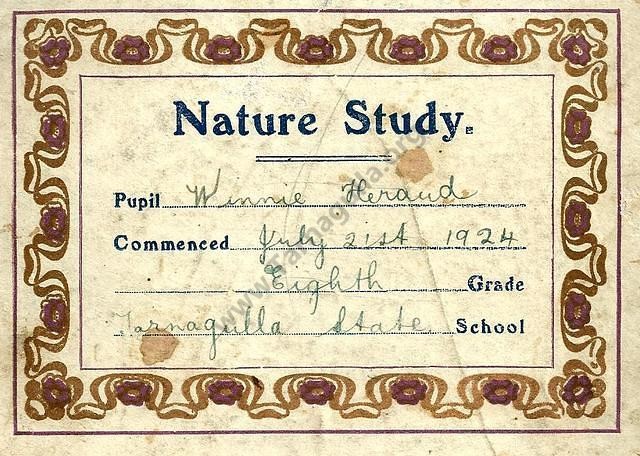 Cover Page of Winnie Heraud's Nature Study Book from 1924.