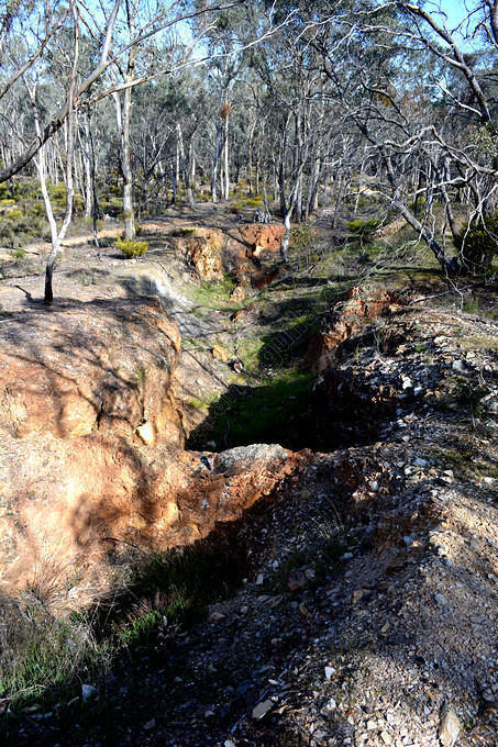 Cutting, Easten side, Specimen Hill, 2014