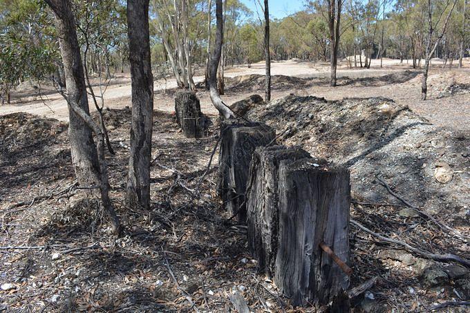 Remnants of Quartz Crushing Battery, Sandstone Reef, Llanelly, 2014