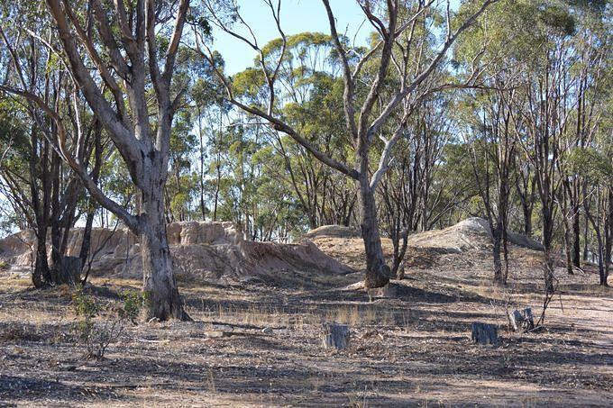 Old Mullock Heaps, Irvine's Reef