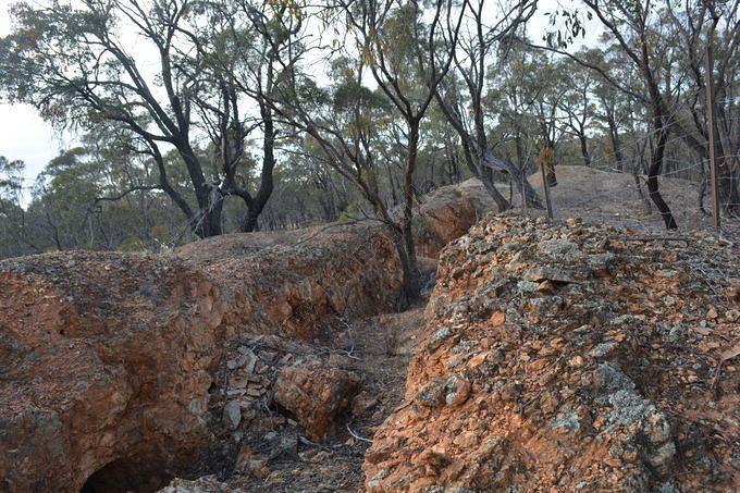 Growler's Hill, Looking South, 2015.