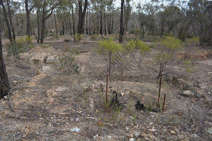 Tarnagulla State Battery Site, 2015