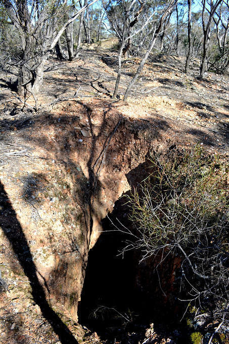 Deep Shaft, Specimen Hill, 2014