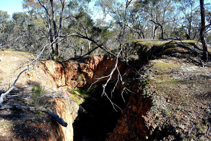 Hammond & Bell's Cutting, Specimen Hill