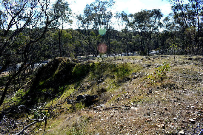 Mullock Dump, Specimen Hill & Phoenix Extended Co