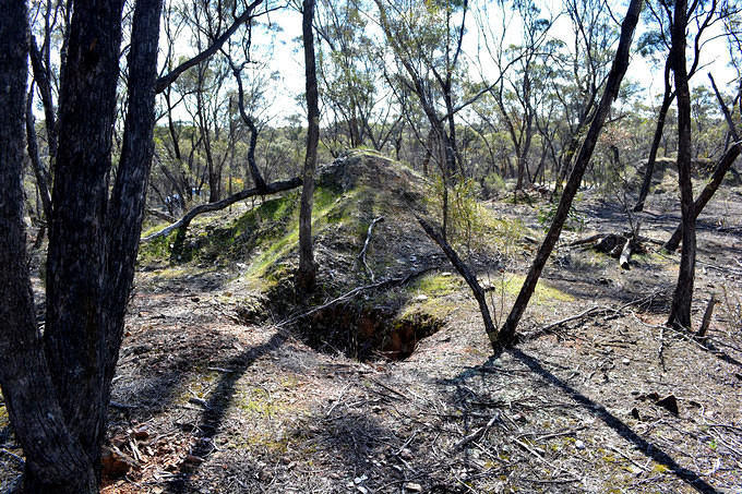 North Specimen Hill Shafts