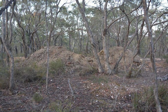 Radnell's Reef, 2015