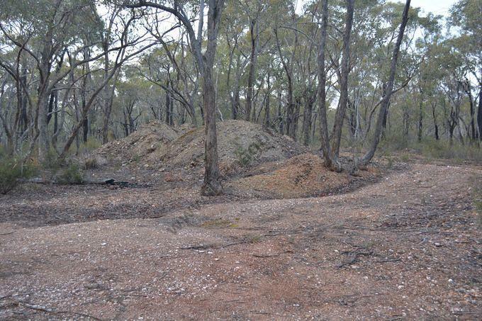 Radnell's Reef, 2015