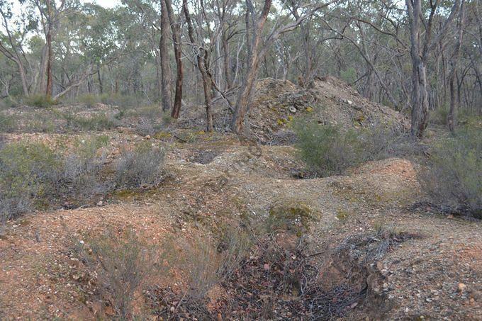 Radnell's Reef, 2015