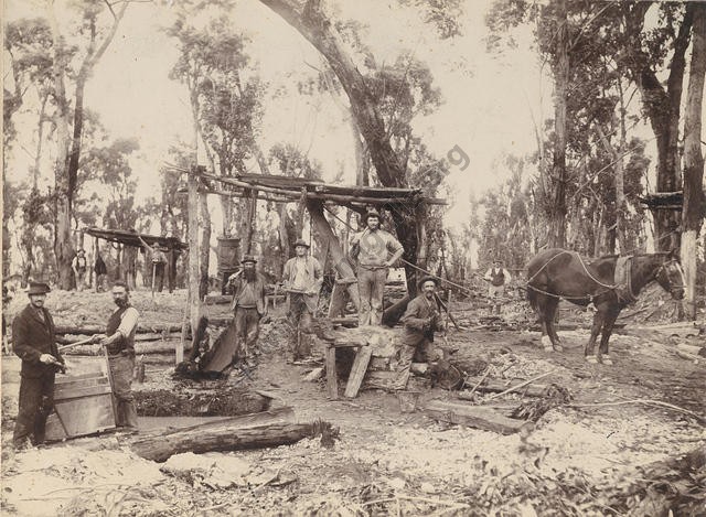 Thomas Henry Allen in the middle without a beard. I believe this is in Waanyarra