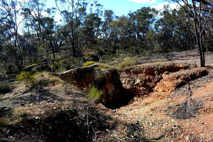 Western Side of Specimen Hill, 2014