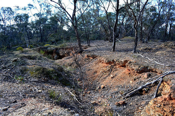 Western Side of Specimen Hill, 2014