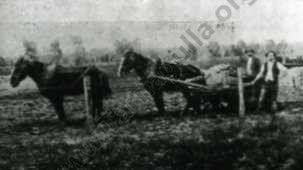 Nick O' Time Rush, October 1903 - "Carting The Wash After The Recent Rains"
David Gordon Collection.