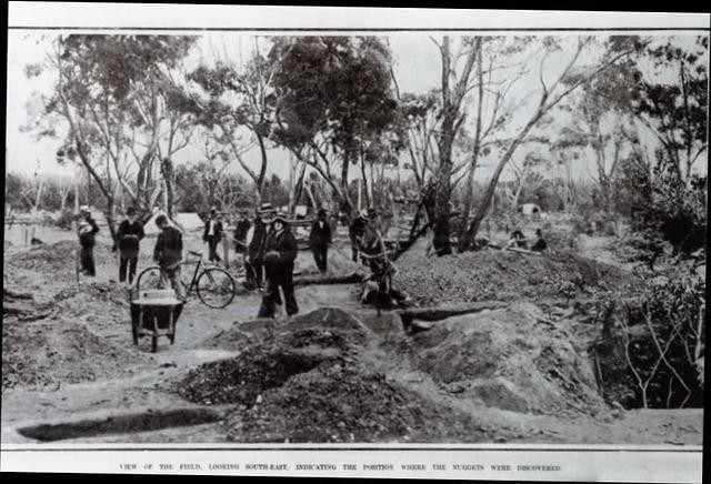 Poseidon Rush, January 1907
View of the field, looking south-east.
David Gordon Collection.