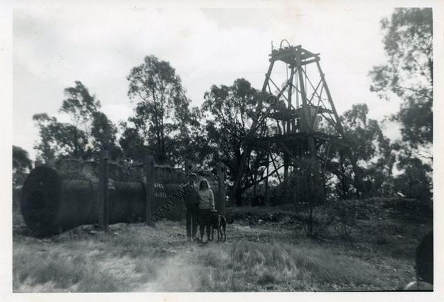 Great Western Mine 
Tarnagulla, 1962.
David Gordon Collection.