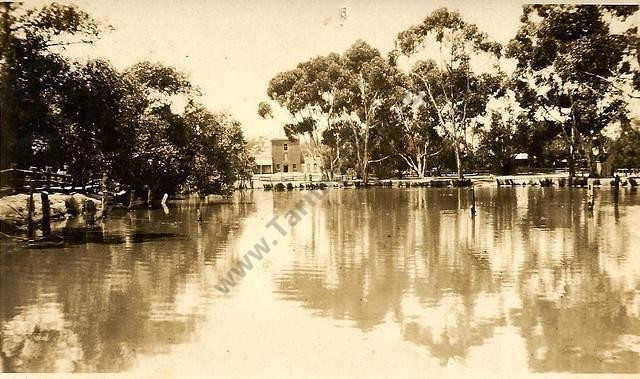 Company's Dam, Tarnagulla, c1920. Almost running a banker. Note the flour mill and other buildings in the background.
From the Win and Les Williams Collection.