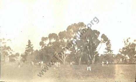 Cricket in Victoria Park, Tarnagulla c 1920