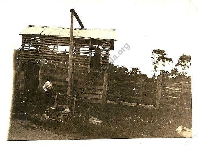 Ison's slaughterhouse, c1925