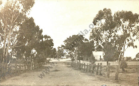 Looking East along Wayman Street, Tarnagulla c 1920