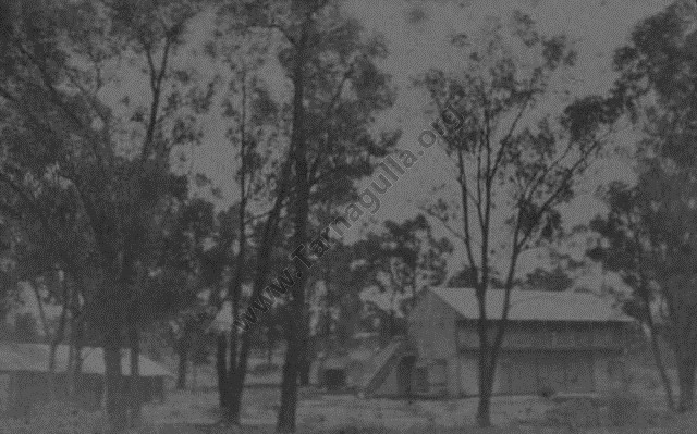 Recreation Reserve and Pavilion, c1919.