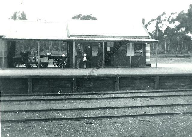 Tarnagulla Railway Station, 1925.
From the Mary Dridan Collection