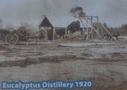 Arnold Eucalyptus Distillery, 1920.