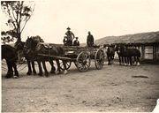 Bert Alexander at his farm in Llanelly, with horses and wagon