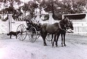 Dr. Donovan & driver not long before his death. 1903?