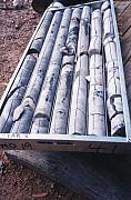 1994 Reef Mining NL ADD Drilling RMD19 discovery hole core P Reef-Nick O' Time Shoot