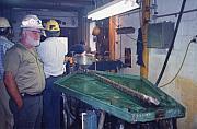 2000a Reef Mining NL Wattle Gully Gold Room Gemini Table Brian Cuffley