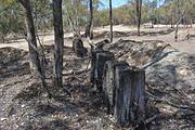 Remnants of Quartz Crushing Battery, Sandstone Reef, Llanelly, 2014