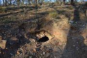 Sabbath Hill Tunnel, 2015