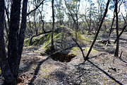 North Specimen Hill Shafts