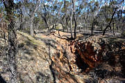 Specimen Hill Cutting