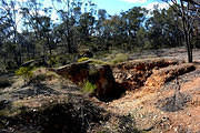 Western Side of Specimen Hill, 2014