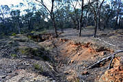 Western Side of Specimen Hill, 2014