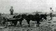 Nick O' Time Rush, October 1903 - "Lucky Claimholders"
David Gordon Collection.