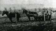 Nick O' Time Rush, October 1903 - "Carting The Wash After The Recent Rains"
David Gordon Collection.