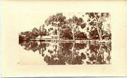 Company's Dam, Tarnagulla c 1909