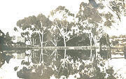 Company's Dam Tarnagulla c 1920