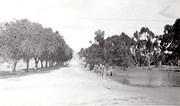 King St, Tarnagulla. Company's Dam on right,  from Gladstone Street