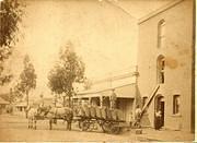 Tarnagulla Flour Mill, c.1890.
Extreme left note the chimney stack for Treloar's foundry.
From the Win and Les Williams family collection.